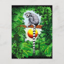 Recherche de lemur cartes postales Madagascar