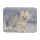 Recherche de anwr Environnement