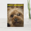 Search for cute yorkie cards Happy