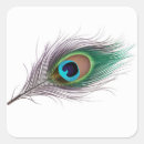 Search for peacock feather stickers Black