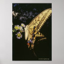 Search for flower pattern posters Sun