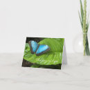Search for blue morpho butterfly cards Nature