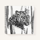 Search for cheetah notebooks Big cat