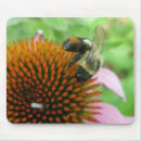 Search for carpenter standard mousepads Nature