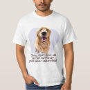 Recherche de golden retriever Puppy