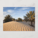 Recherche de oasis cartes postales Dune