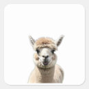 Search for fluff stickers Llama