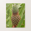 Recherche de ananas puzzles Vert