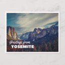 Search for yellowstone bison postcards Travel