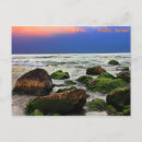Recherche de mousse mer cartes postales Bleu
