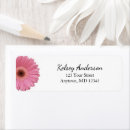 Recherche de gerbera daisy étiquettes adresse retour Fleur