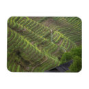 Recherche de terrassement magnets En terrasses