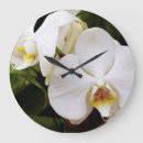 Recherche de orchidées blanches horloges Botanique