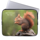 Search for squirrel laptop cases Animals