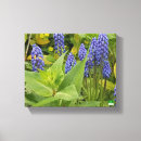 Search for bluebell canvas prints Flowers