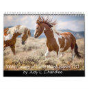 Search for wild animals calendars Horses