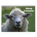 Search for lamb calendars Animal