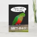 Search for red parrot cards Bird