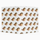 Search for sparrow binders Birds