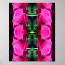 Search for raindrops posters Flower