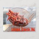 Search for crawfish postcards Louisiana