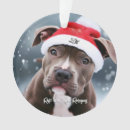Recherche de bull terrier ornaments Drôle