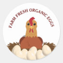 Search for hen and eggs stickers Egg carton