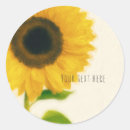 Search for big sunflower stickers Floral