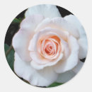 Search for single rose stickers Pink