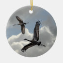Search for crane ornaments Sandhill