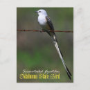 Search for flycatcher postcards Oklahoma