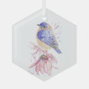 Search for bluebird ornaments Wildlife