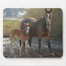 Search for digital horse mousepads Nature