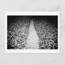 Search for black bean postcards Black and white