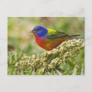 Search for migration cards invites Nature