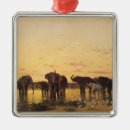 Search for african animals ornaments Sunset
