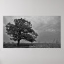 Search for black oak tree art Landscape