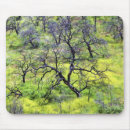 Search for renew mousepads Forest