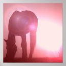 Recherche de silhouette de cheval posters Équestre