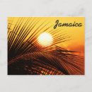 Recherche de jamaica Beach