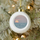 Search for beach ball ornaments Florida