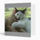 Search for furry binders Feline