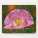 Recherche de pavot rose tapis souris Fleurs