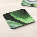 Search for closeup coasters Abstract