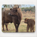 Search for cow mousepads Scottish