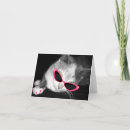 Recherche de chatons photographie Pour elle