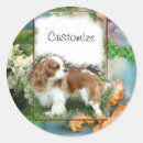 Search for cavalier king charles stickers Animal