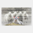 Search for flock of sheep stickers Lamb