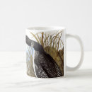 Search for common loon home living Audubon