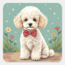 Search for white poodle stickers Cute